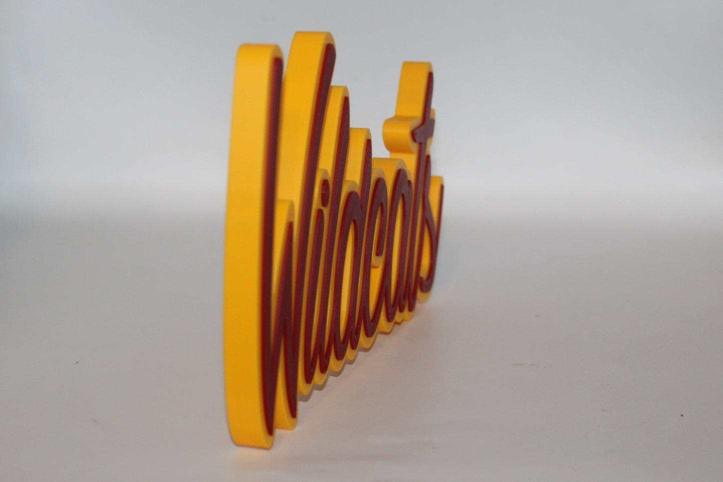Bethune-Cookman Wildcats 3D printed Logo Sign Wall Desk Shelf Art