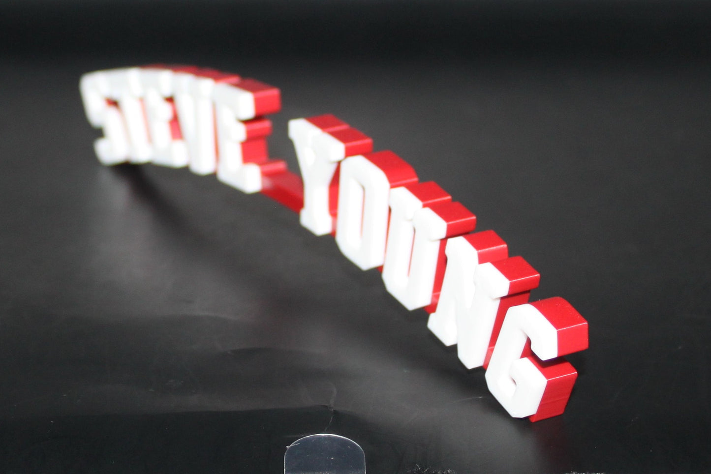 Steve Young, San Francisco 49ers, NFL 3D printed Logo, Sign, Wall, Desk, Fridge, Shelf Art
