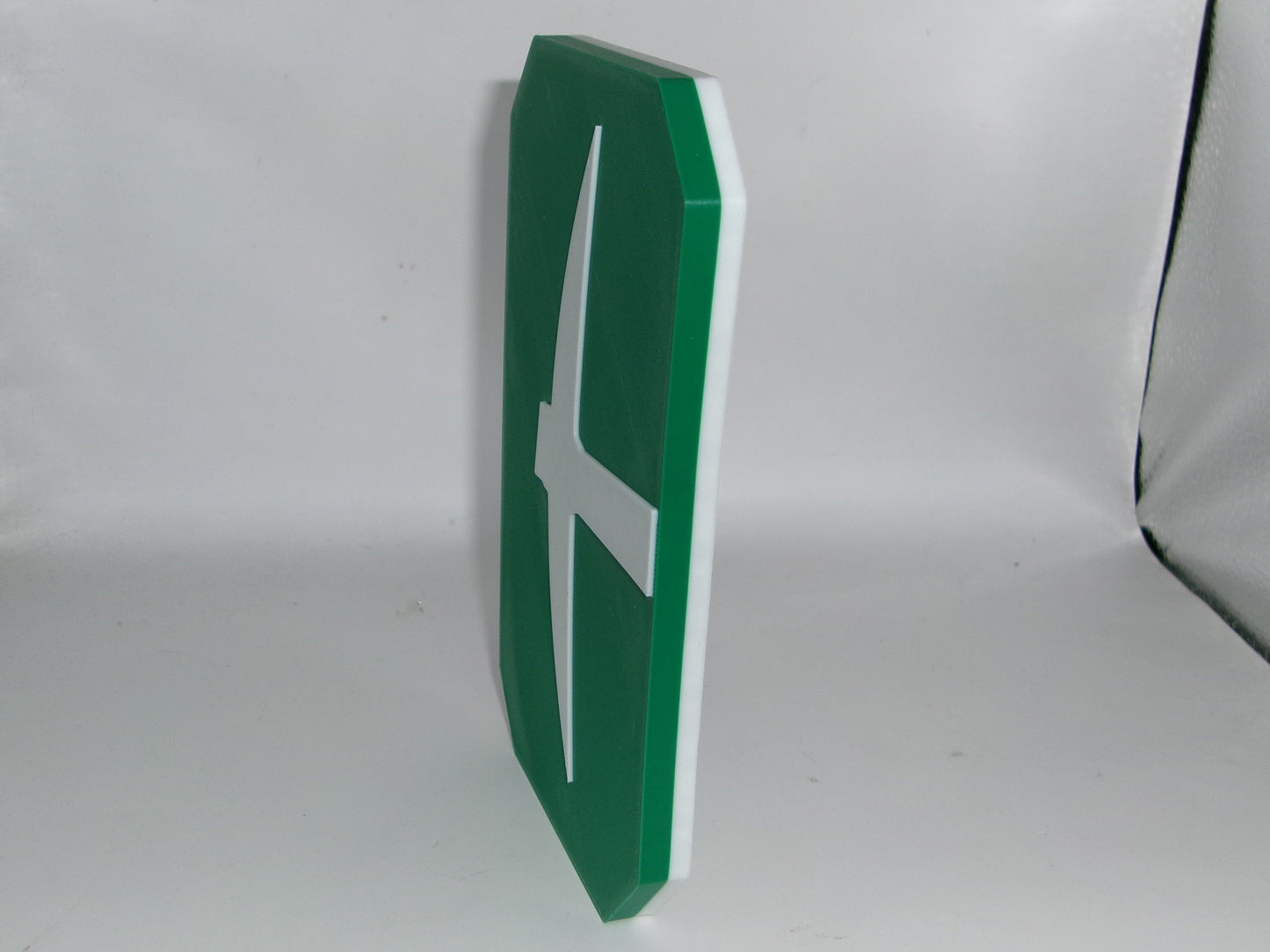 Charlotte 49ers 3D printed Logo Sign Wall Desk Shelf Art