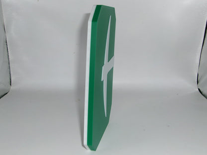 Charlotte 49ers 3D printed Logo Sign Wall Desk Shelf Art