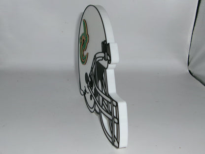 Charlotte 49ers 3D printed Logo Sign Wall Desk Shelf Art