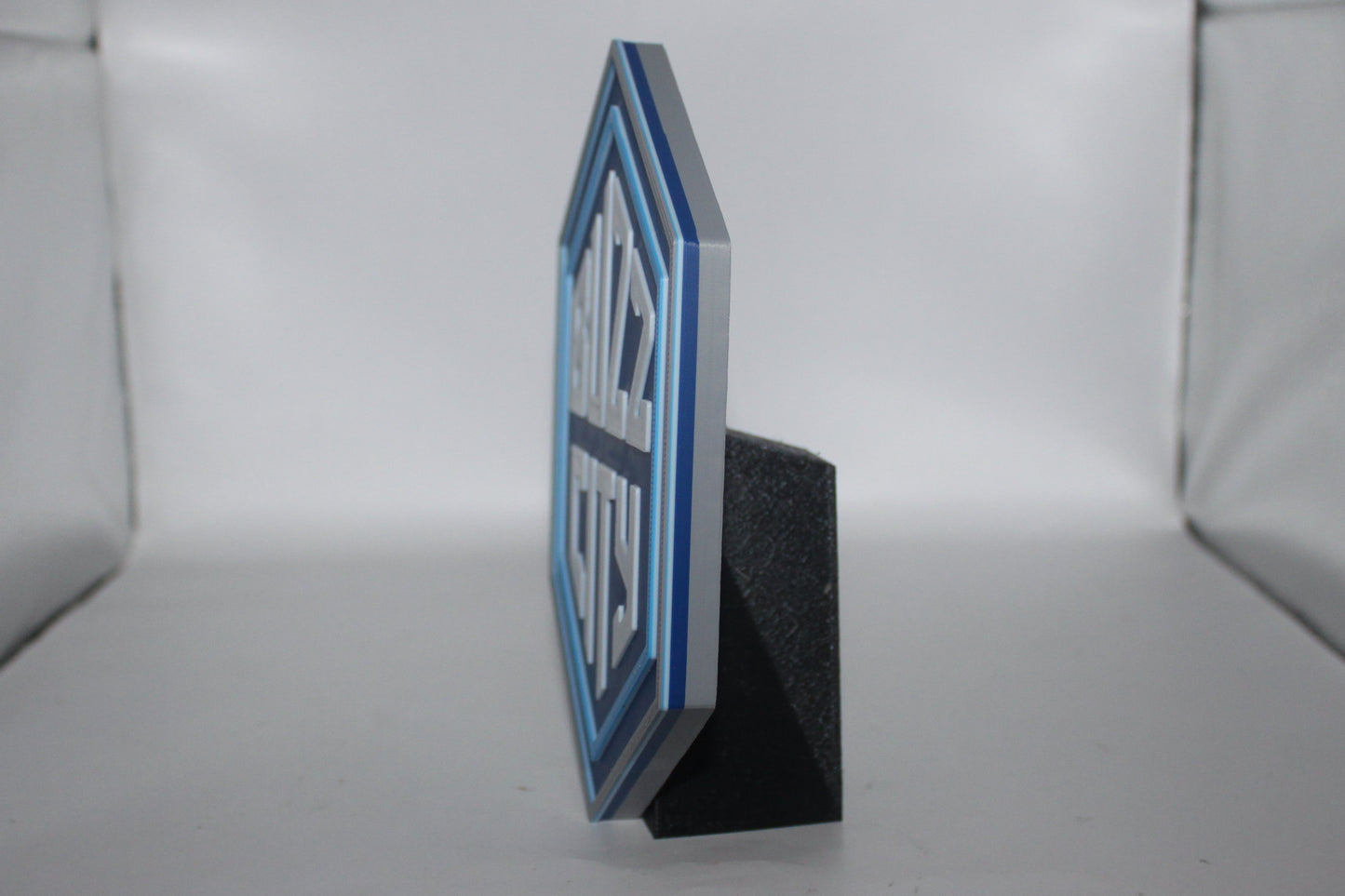 Charlotte Hornets 3D printed Logo Sign Wall Desk Shelf Art