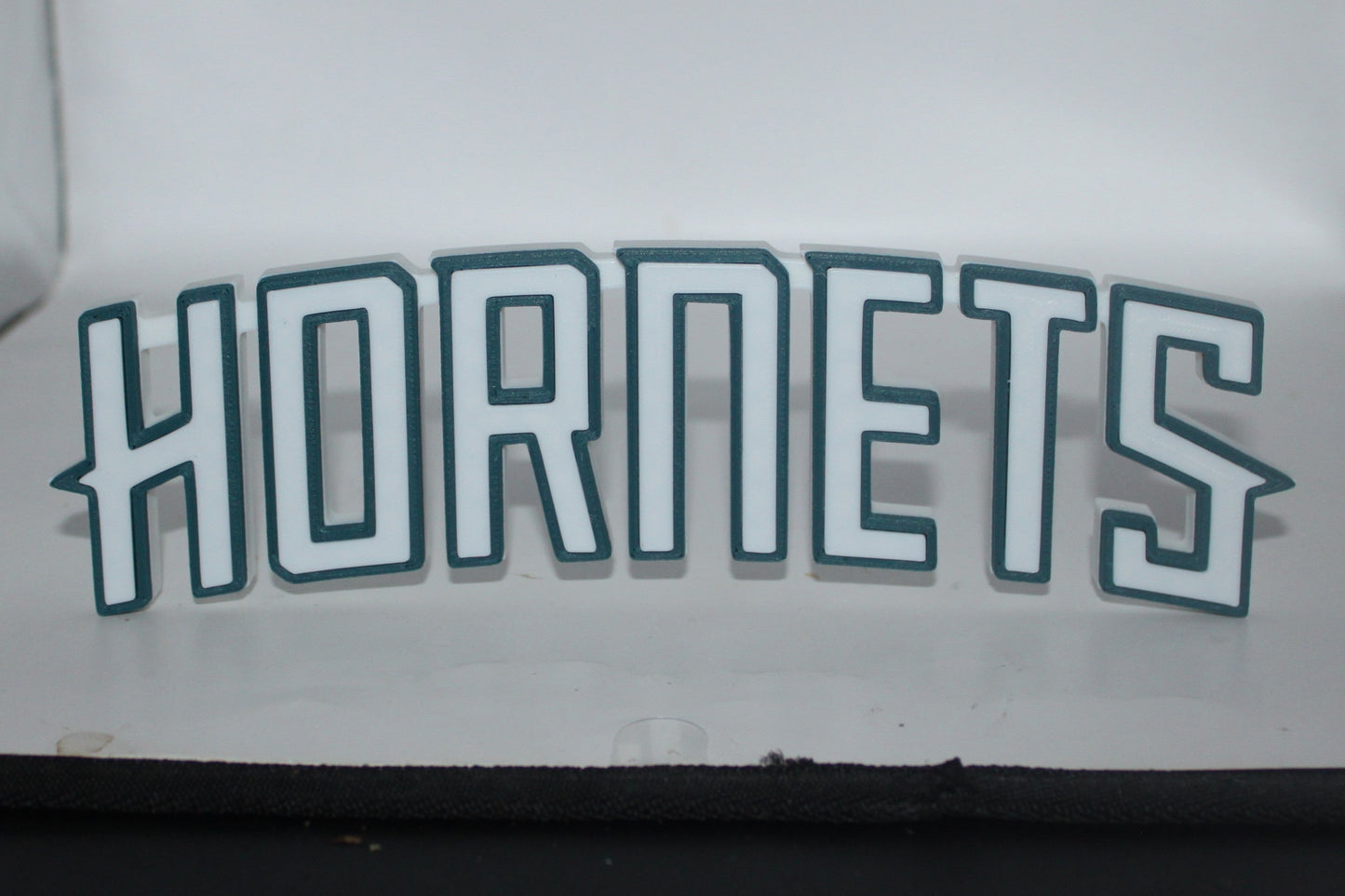 Charlotte Hornets 3D printed Logo Sign Wall Desk Shelf Art