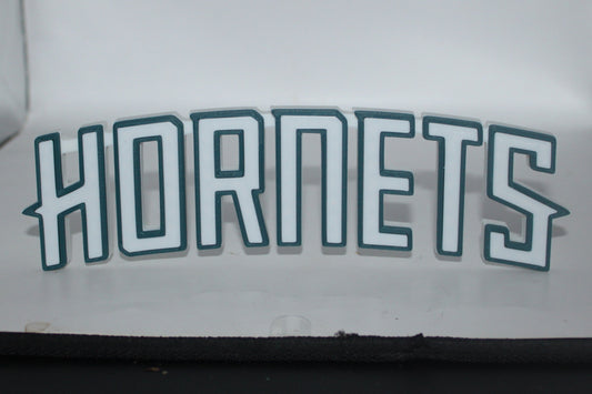 Charlotte Hornets 3D printed Logo Sign Wall Desk Shelf Art