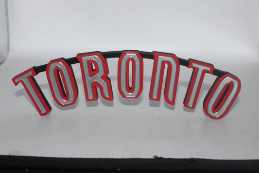 Toronto Raptors 3D printed Logo Sign Wall Desk Shelf Art