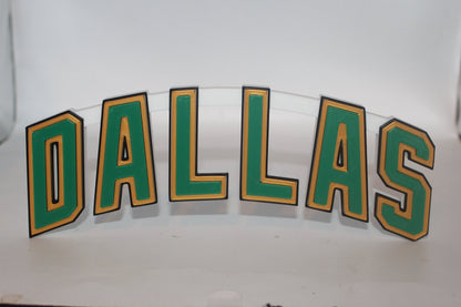 Dallas Stars 3D printed Logo Sign Wall Desk Shelf Art