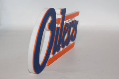 Edmonton Oilers 3D printed Logo Sign Wall Desk Shelf Art
