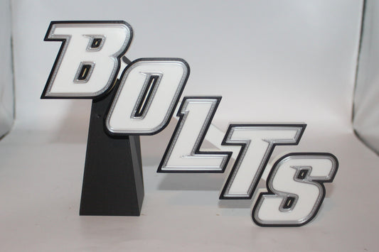 Tampa Bay Lightning 3D printed Logo Sign Wall Desk Shelf Art