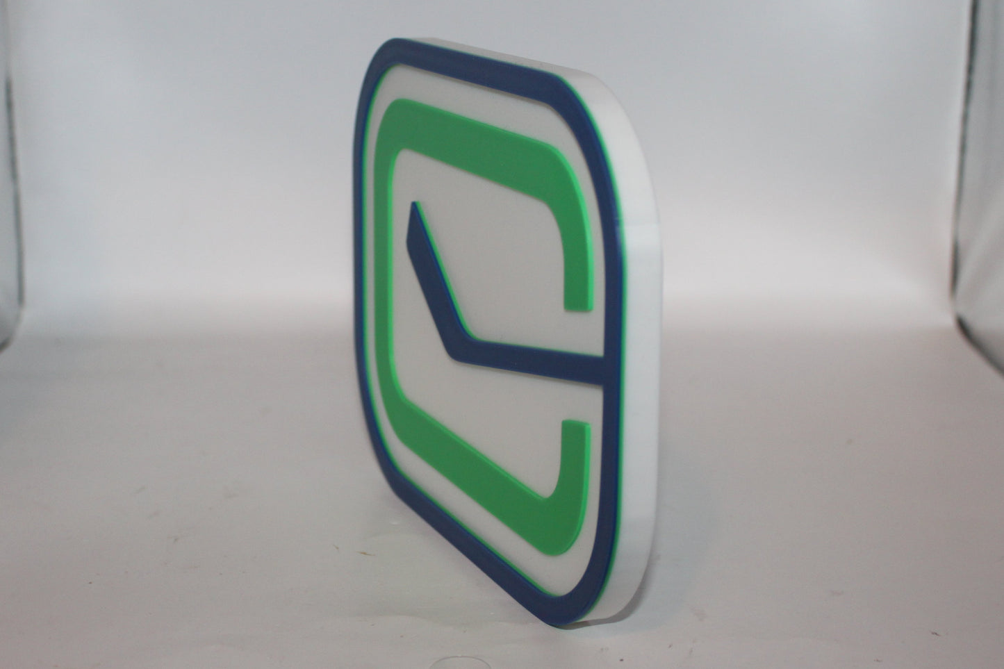 Vancouver Canucks 3D printed Logo Sign Wall Desk Shelf Art