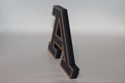 Akron Zips 3D printed Logo Sign Wall Desk Shelf Art