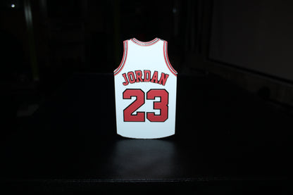 Bulls #23 Jersey 3D printed Logo Sign Wall Desk Shelf Art