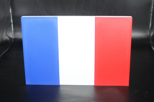 France Flag 3D printed Logo Sign Wall Desk Shelf Art