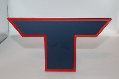 Houston Texans, NFL 3D printed Logo, Sign, Wall, Desk, Fridge, Shelf Art