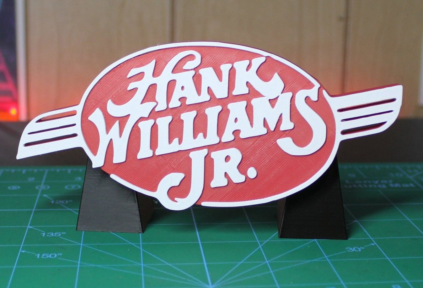 Hank Williams Jr. 3D Printed Logo Art