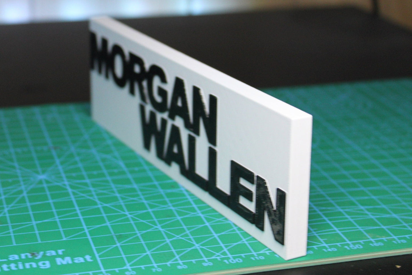 Morgan Wallen 3D Printed Logo Art