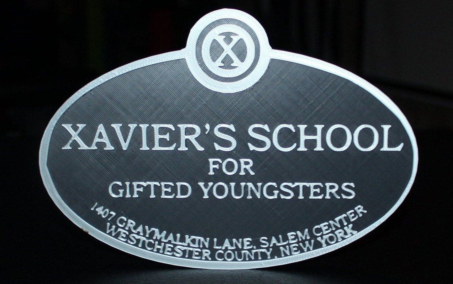 Xavier's School For Gifted Youngsters 3D printed Logo Art