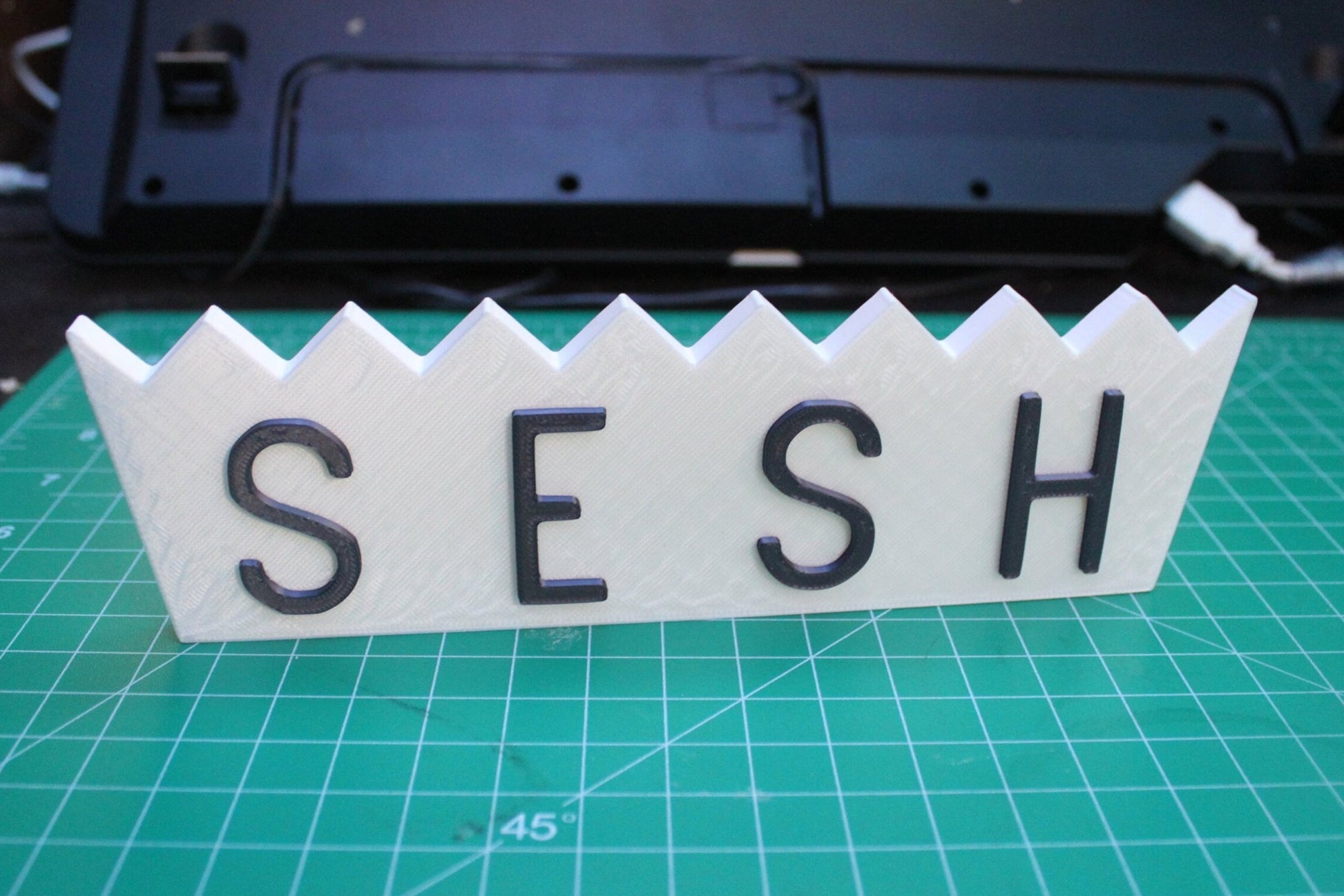 Team SESH, BONES 3D Printed Logo Art