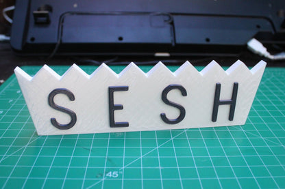 Team SESH, BONES 3D Printed Logo Art