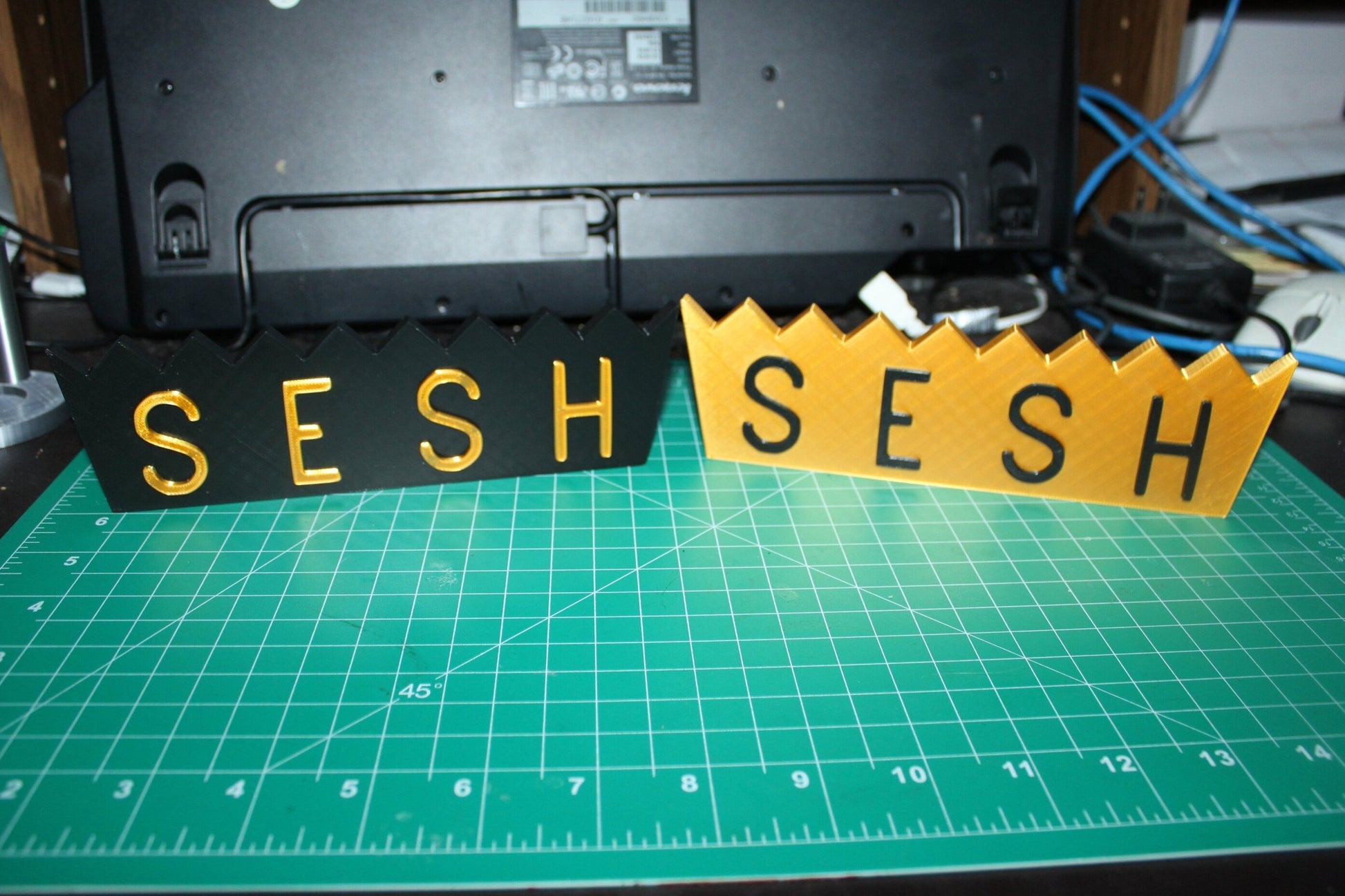 Team SESH, BONES 3D Printed Logo Art