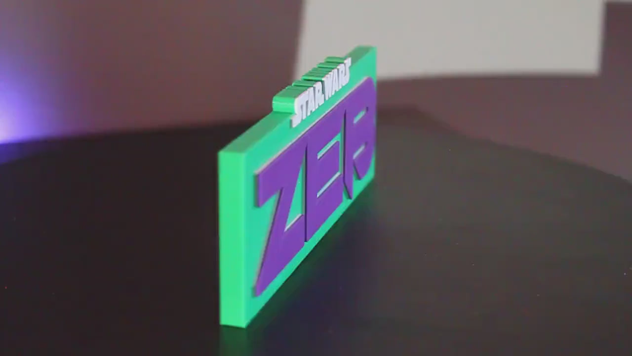 Zeb 3D printed Logo Art