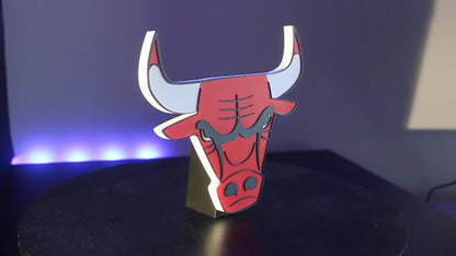 Chicago Bulls 3D printed Logo Sign Wall Desk Shelf Art